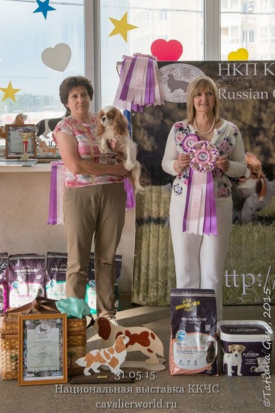 PETERS CAVALIER ADELLI LEYA2 Best female ЧК.jpg